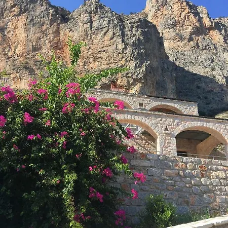 Apartment Rock Climbing House